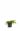 Можжевельник обыкновенный Гринмантл (Greenmantle)