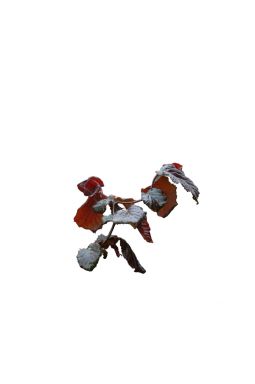 Лещина обыкновенная Ред Маджестик (Red Majestic) - фото №1