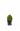 Самшит вечноЗеленый Ротандифолия (Rotundifolia)
