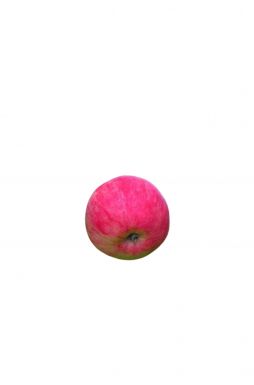 Купить яблоню 🍎 в Москве по цене от 2500 руб.